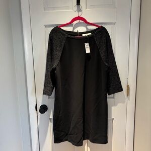 Loft Black and Gray Dress NWT size 14